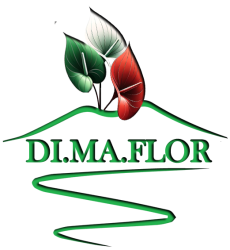 DI.MA.FLOR